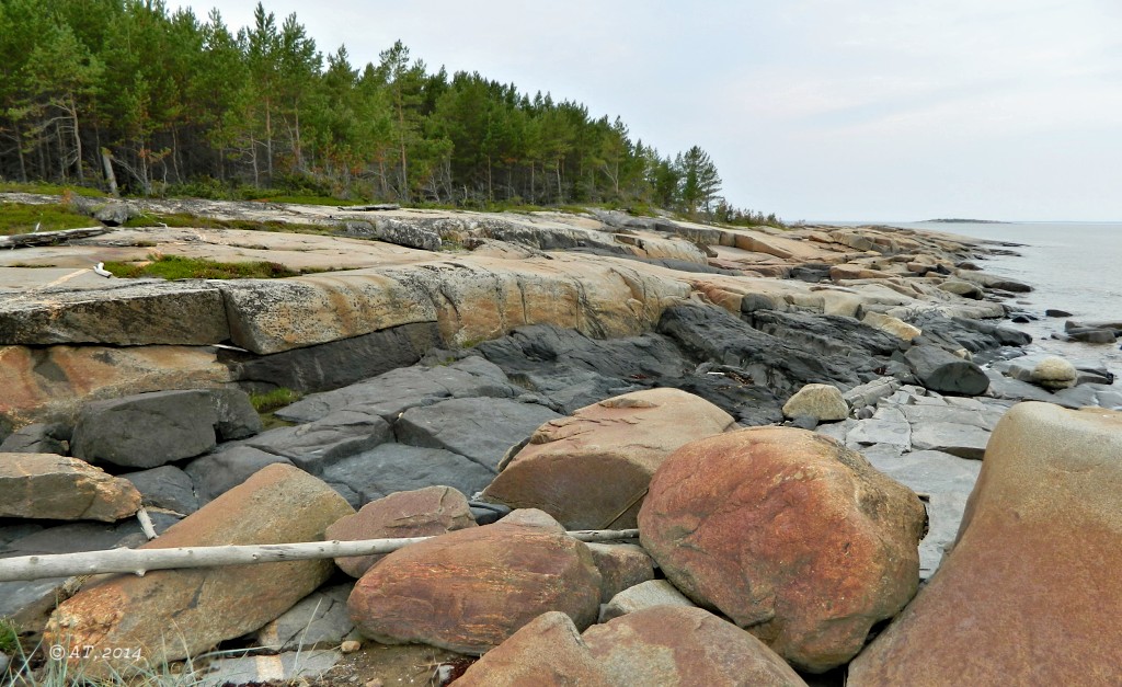 Унежма, image of landscape/habitat.