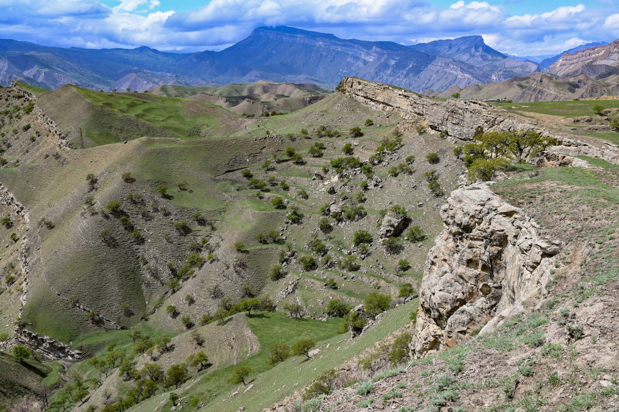 Окрестности села Чох, image of landscape/habitat.