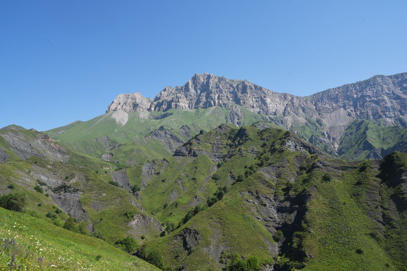 Гора Дайхох, image of landscape/habitat.