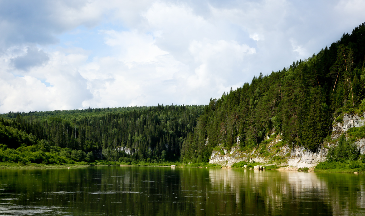 Устье Поныш и его окрестности, image of landscape/habitat.