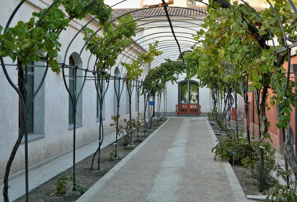 Real Jardín Botánico de Madrid, image of landscape/habitat.