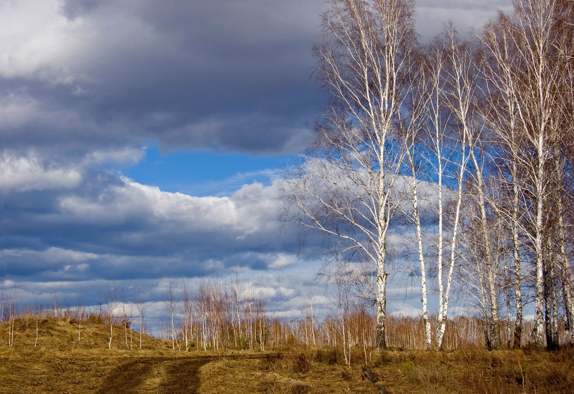 Окрестности деревни Бекленищева, image of landscape/habitat.