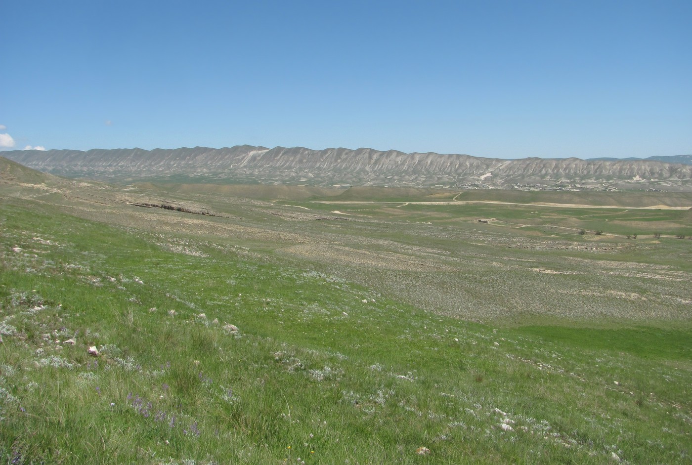 Леваши, image of landscape/habitat.