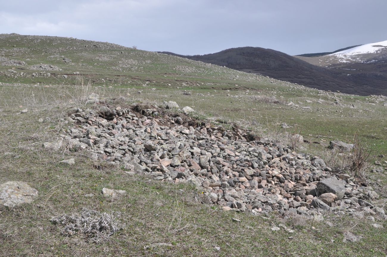 Курганное поле, image of landscape/habitat.