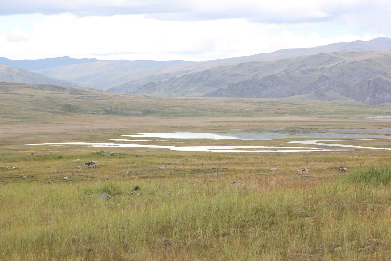 Окрестности стоянки Бертек, image of landscape/habitat.