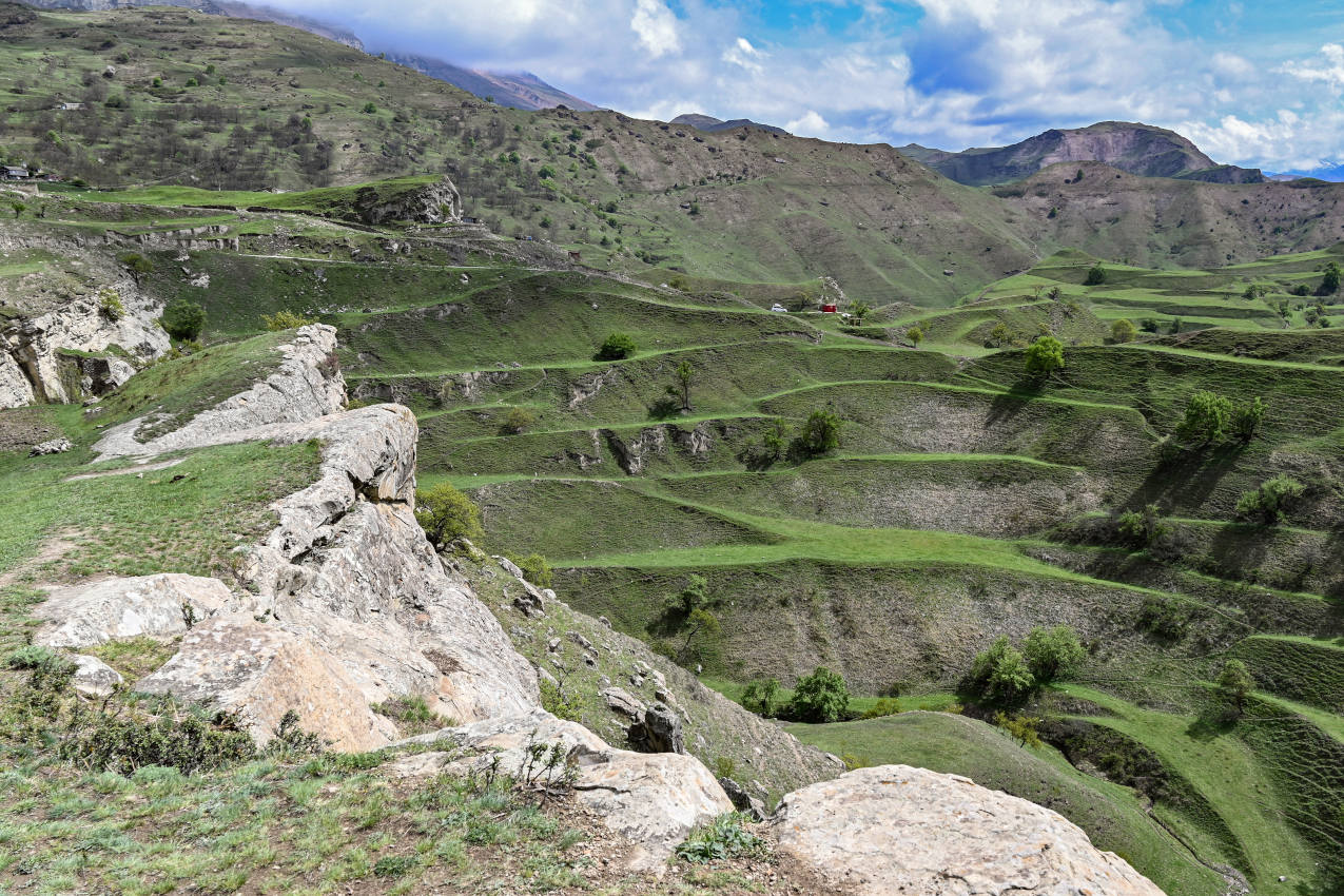 Окрестности села Чох, image of landscape/habitat.