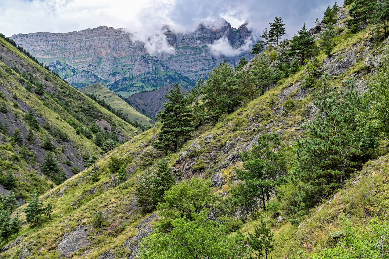 Вовнушки, image of landscape/habitat.