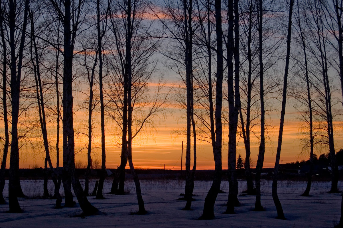 Окрестности деревни Бекленищева, image of landscape/habitat.