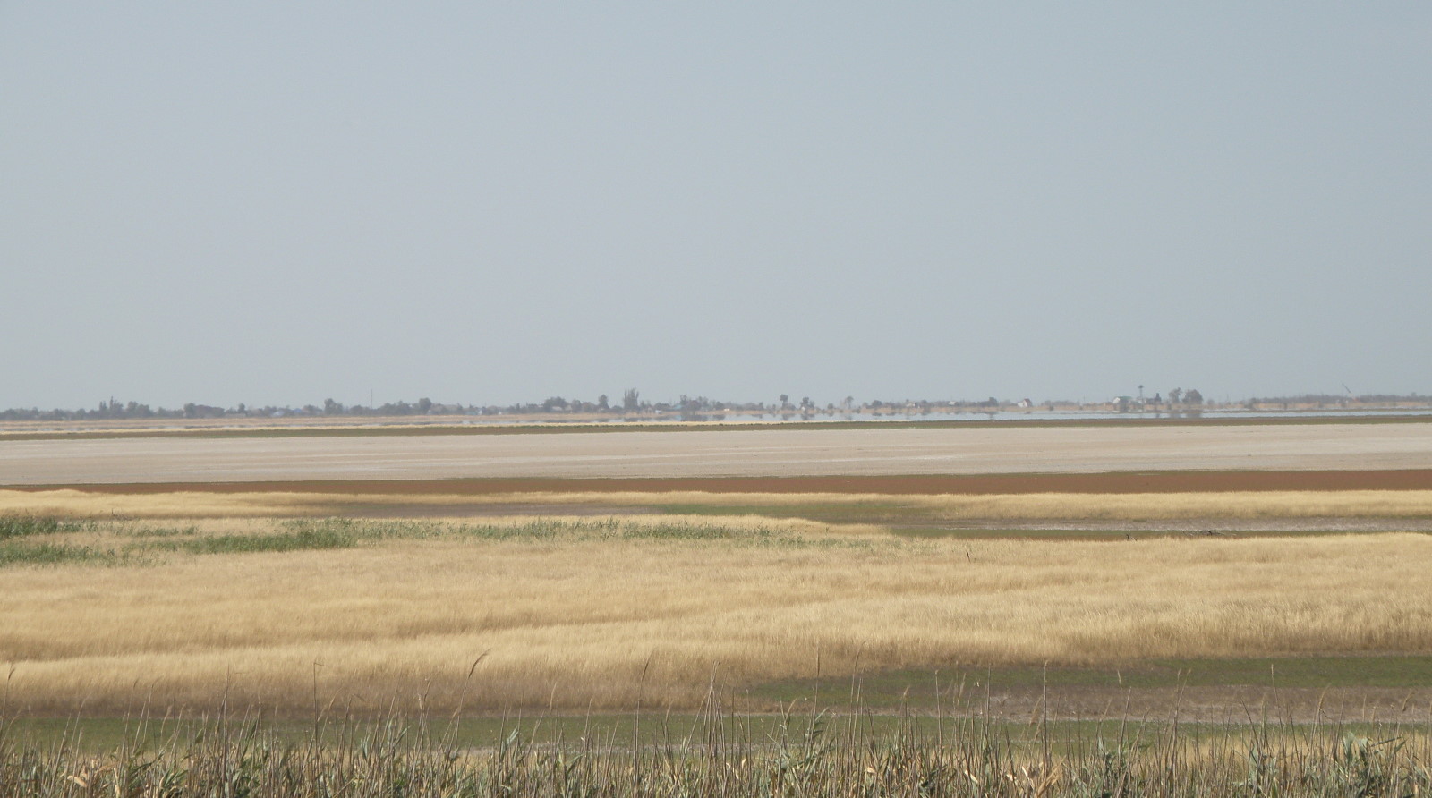 Ханское озеро, image of landscape/habitat.