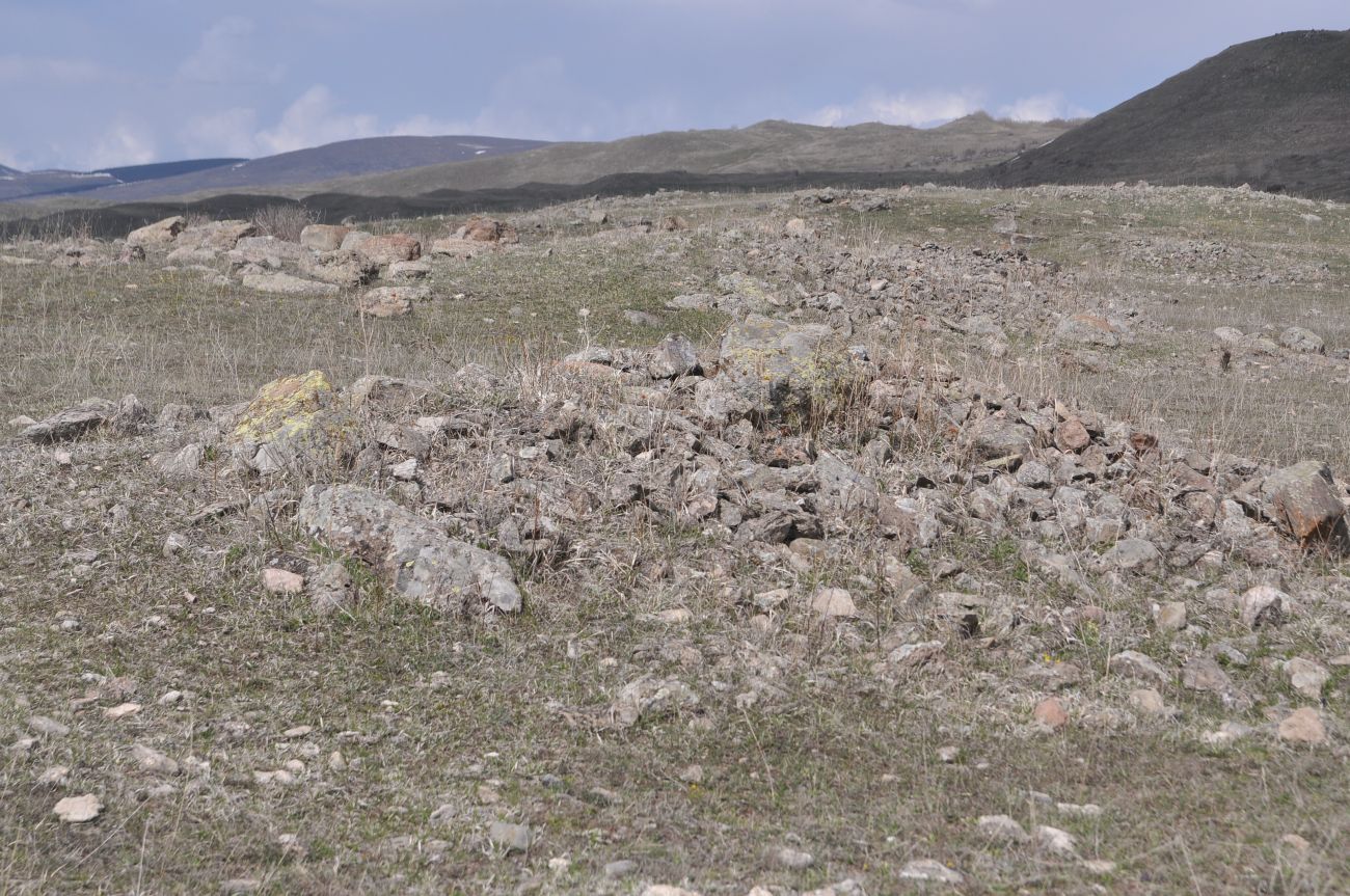 Курганное поле, image of landscape/habitat.