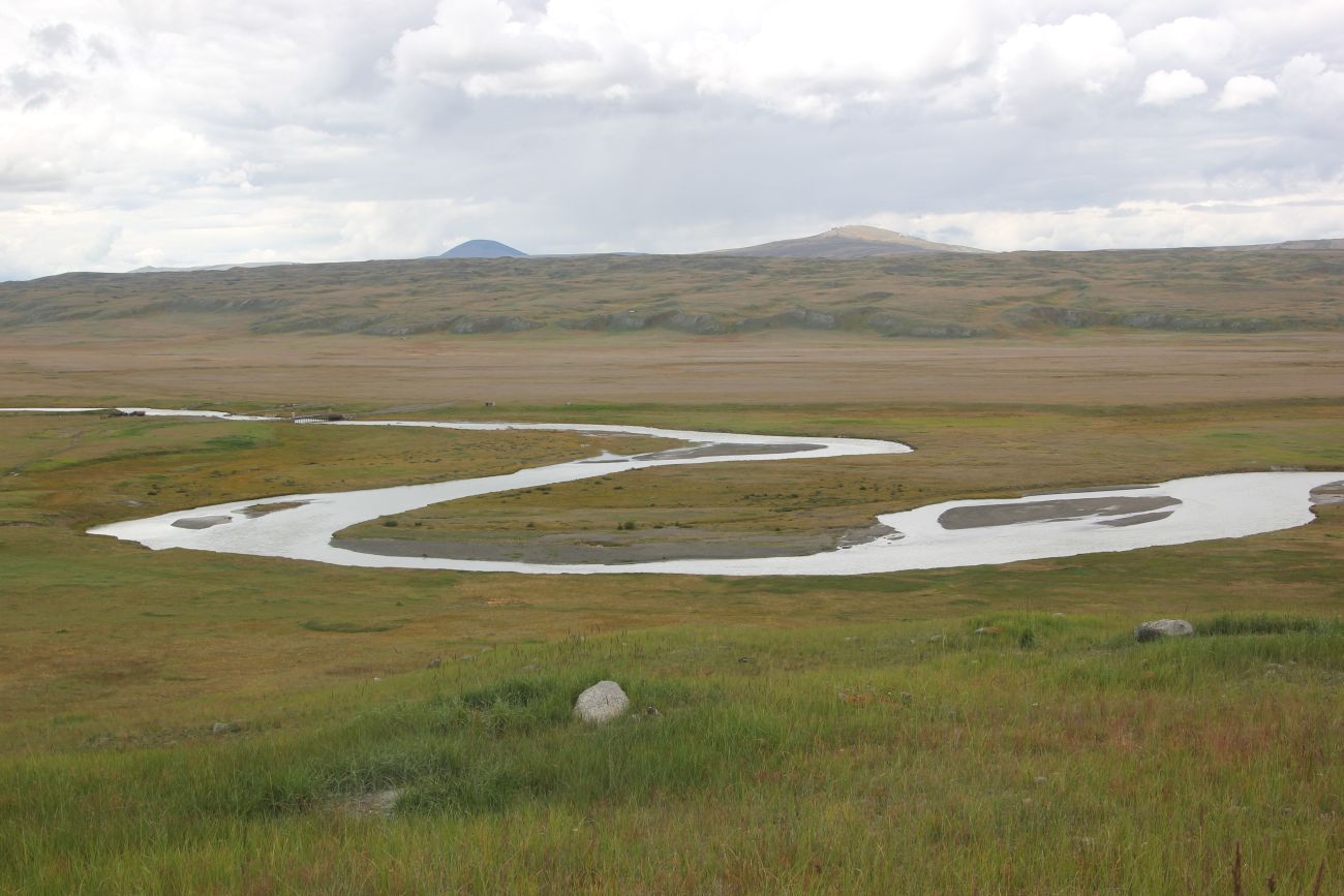 Окрестности стоянки Бертек, image of landscape/habitat.