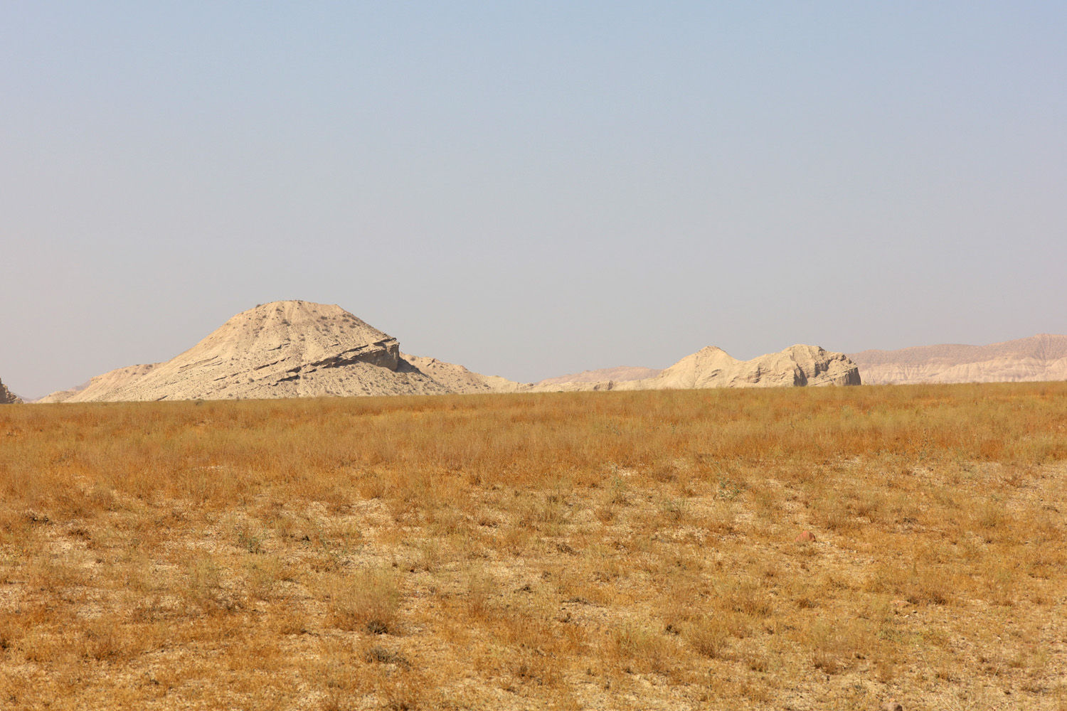 Папские адыры, image of landscape/habitat.