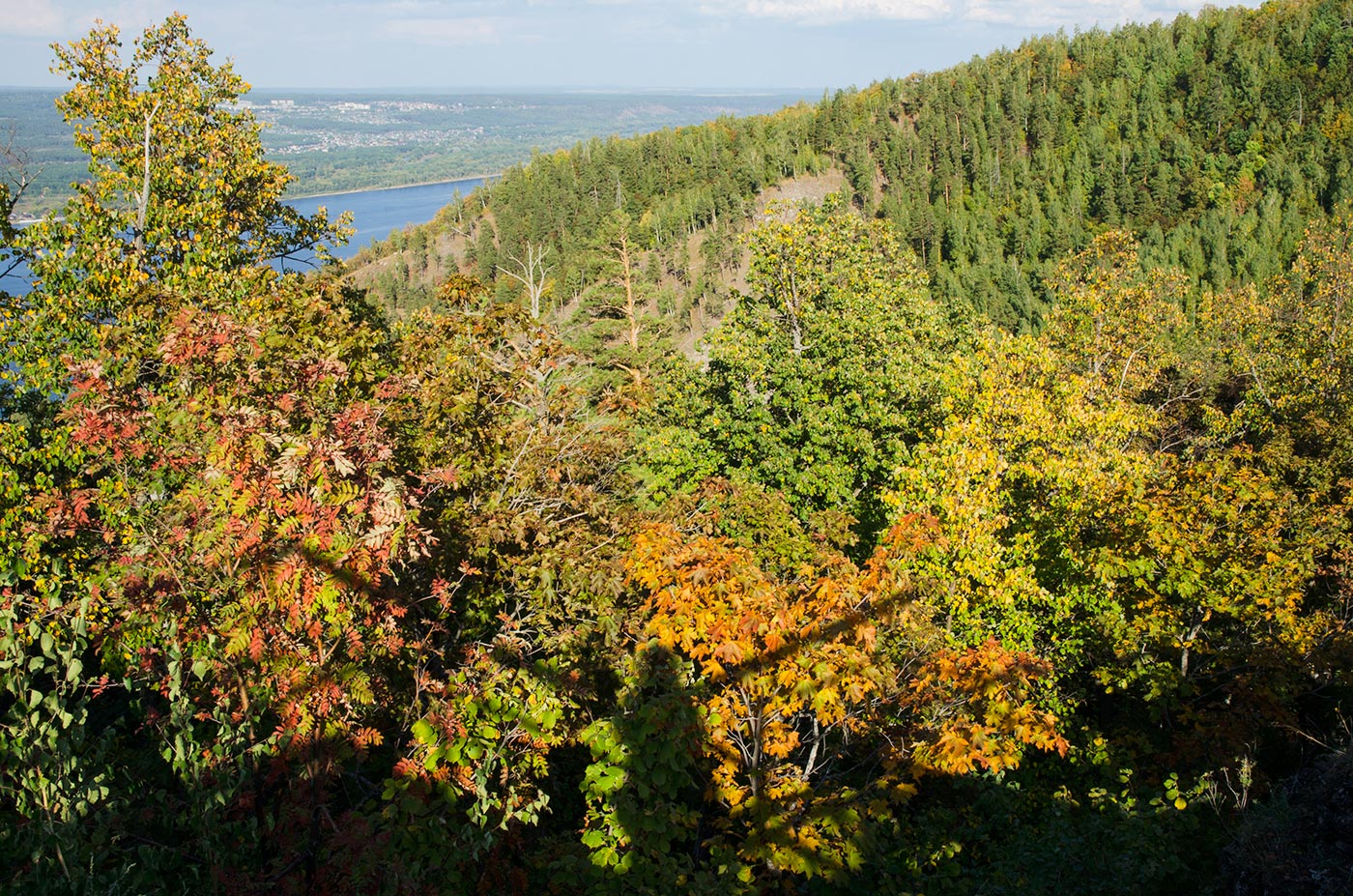 Гора Стрельная, image of landscape/habitat.