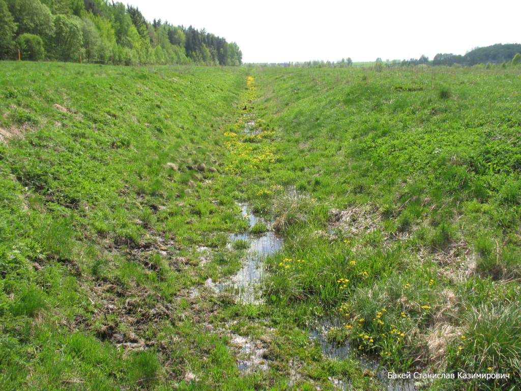 Река Чемеровка, image of landscape/habitat.