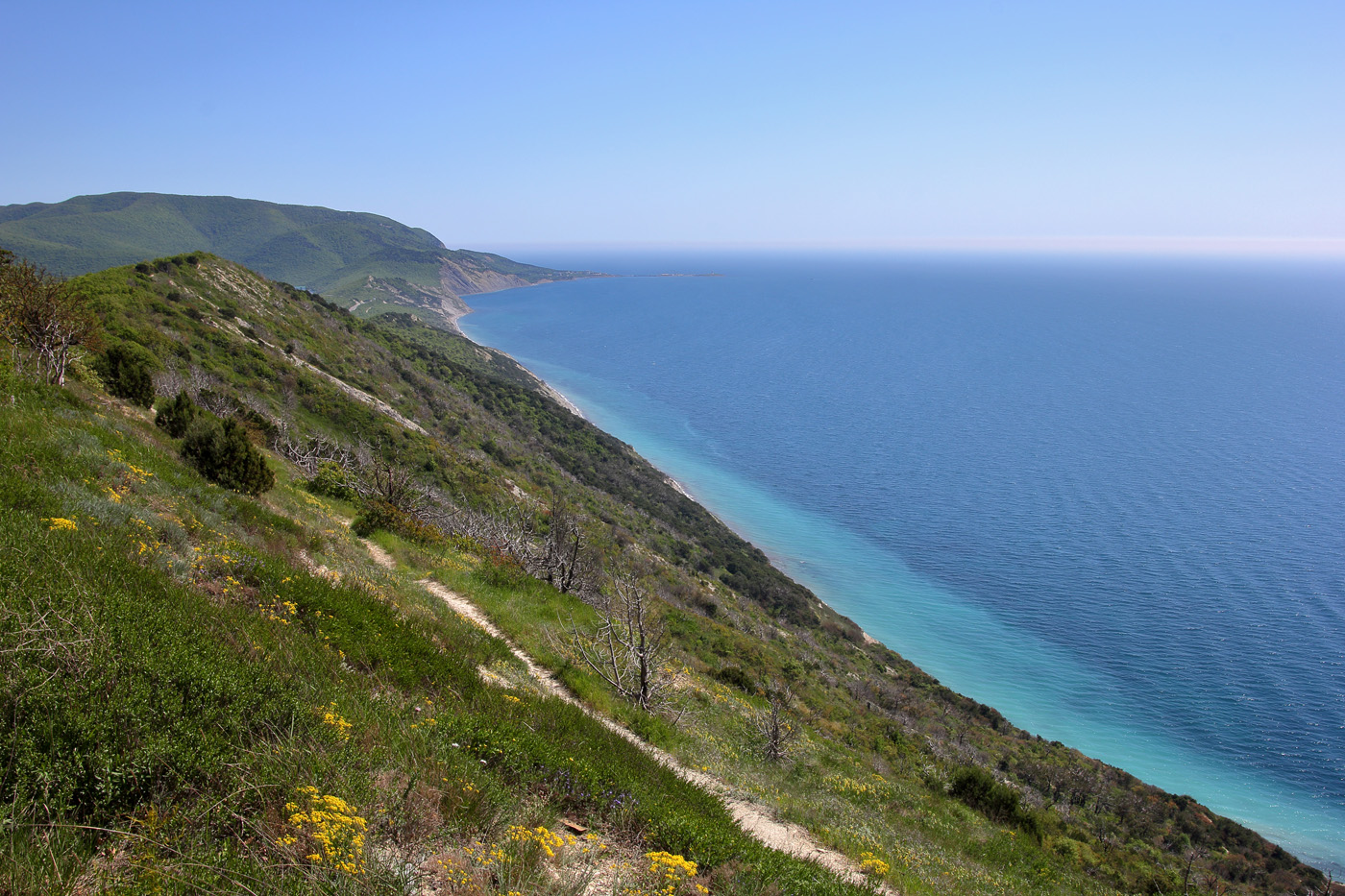 Приморские склоны у Варваровки, image of landscape/habitat.