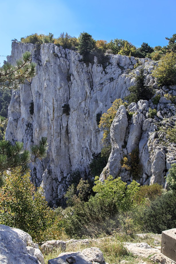 Ай-Петринская яйла, image of landscape/habitat.