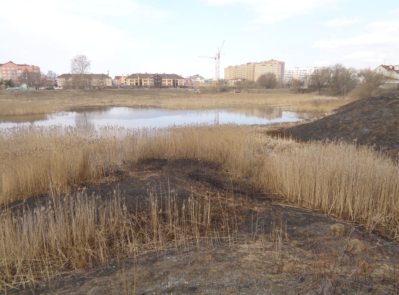 Соминка, image of landscape/habitat.