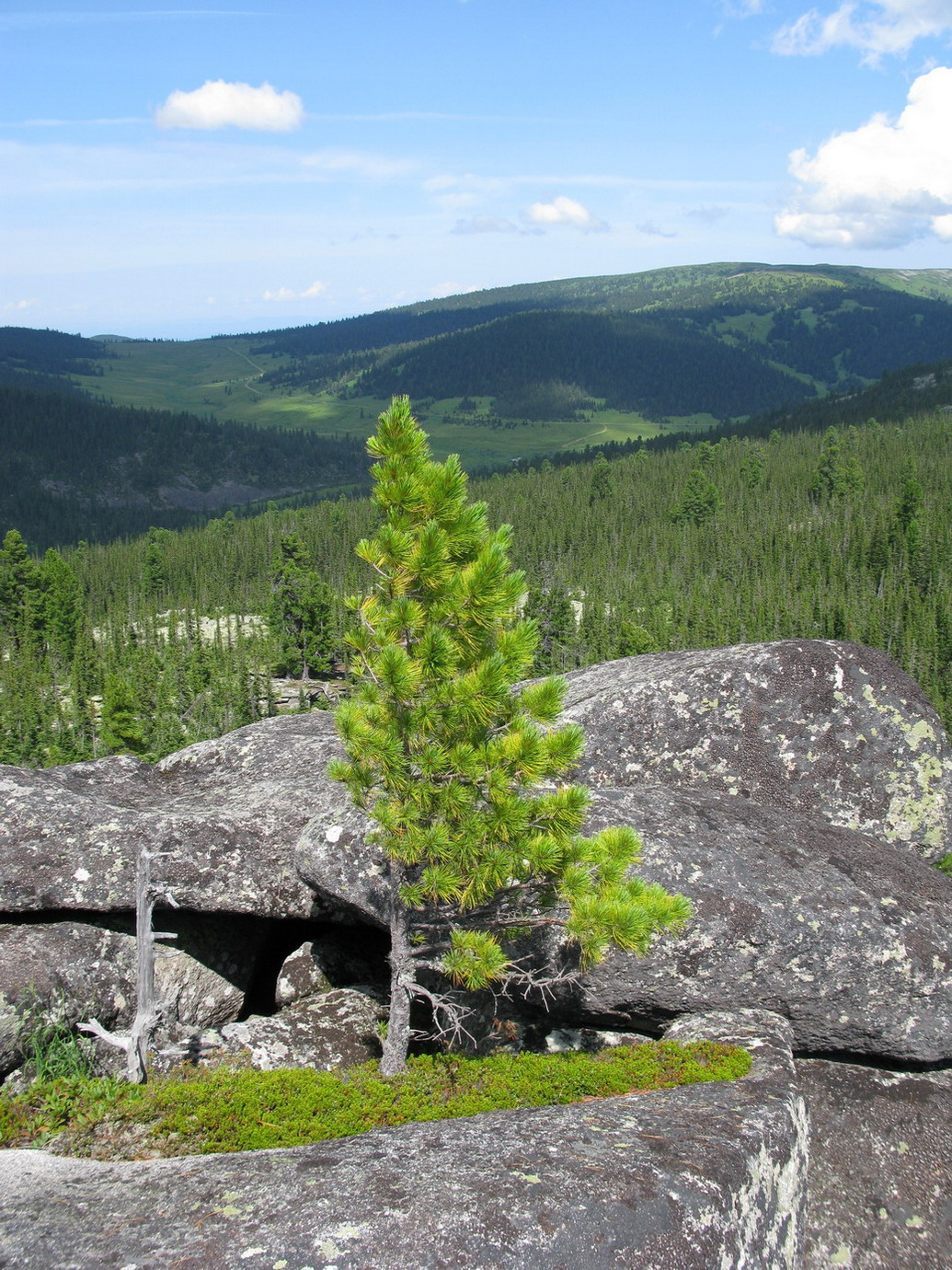 Каменный Город, image of landscape/habitat.