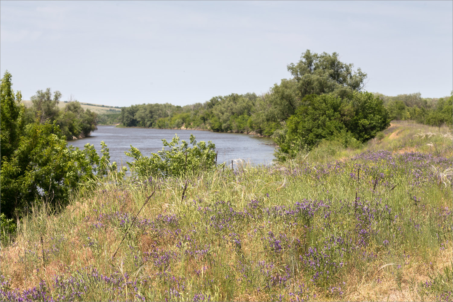 Вилтов, image of landscape/habitat.