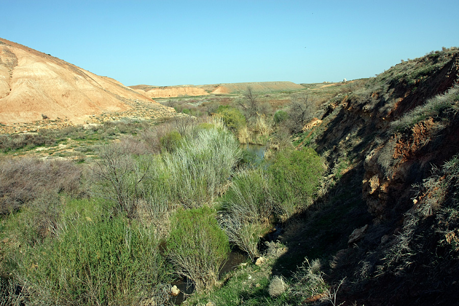 Озеро Кызылколь, image of landscape/habitat.