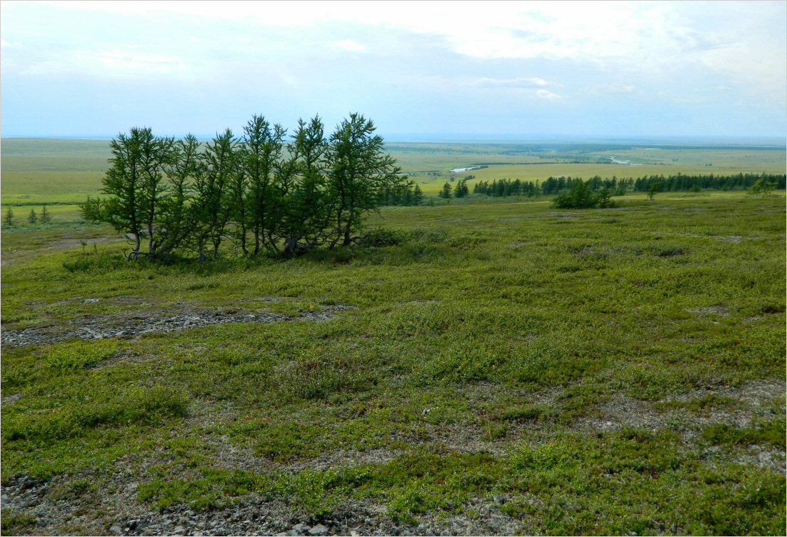 Большая Хойлаю, image of landscape/habitat.