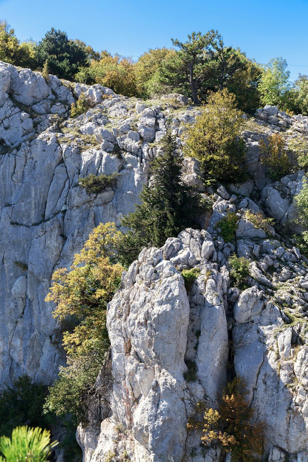 Ай-Петринская яйла, image of landscape/habitat.