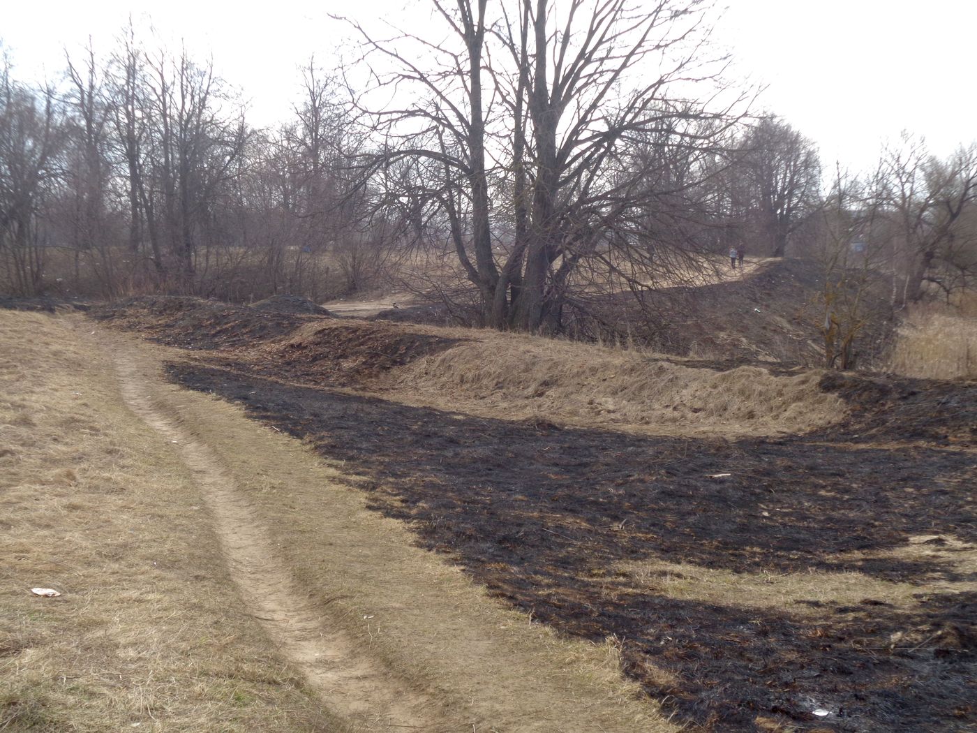 Соминка, image of landscape/habitat.