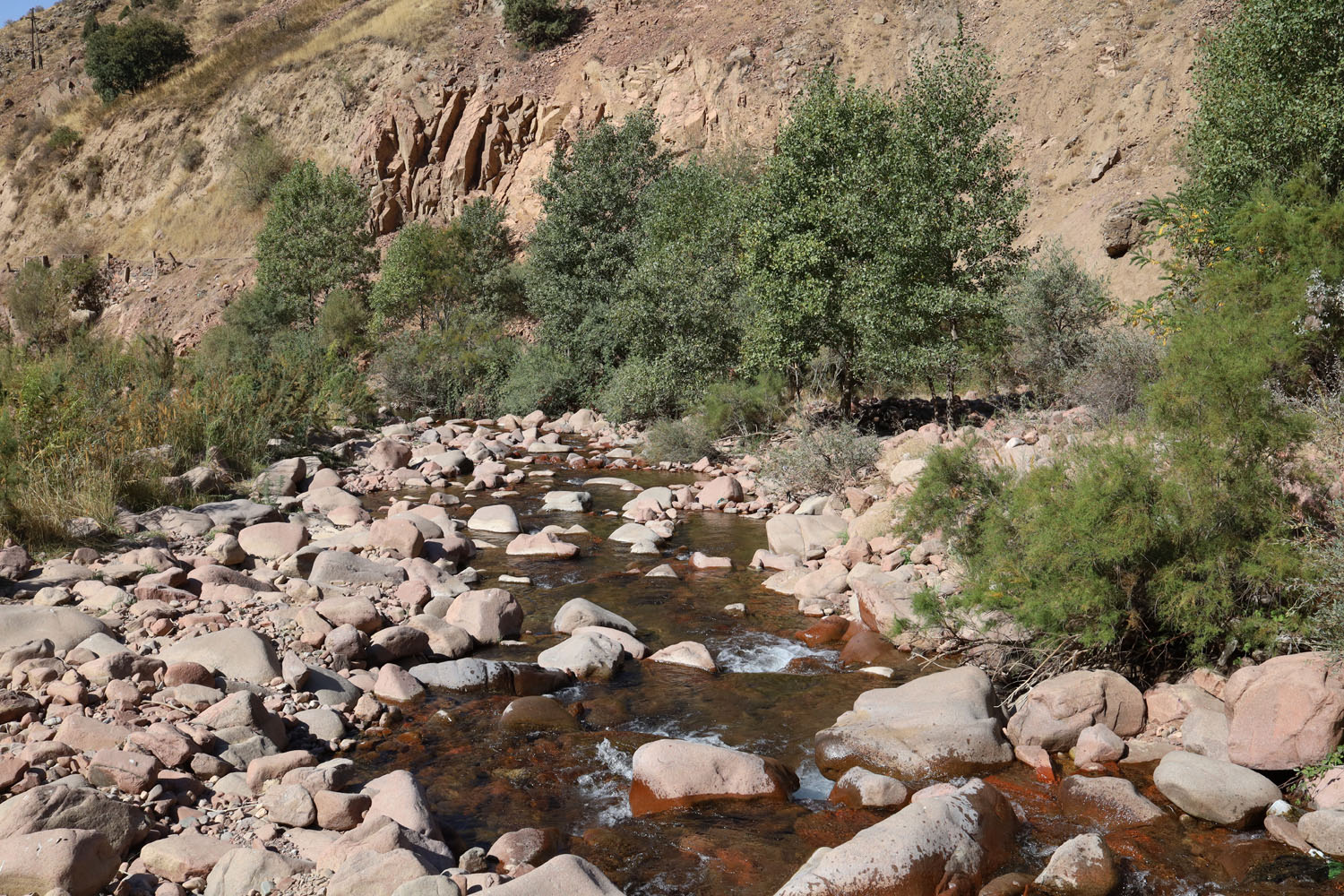 Окрестности города Янгиабад, image of landscape/habitat.