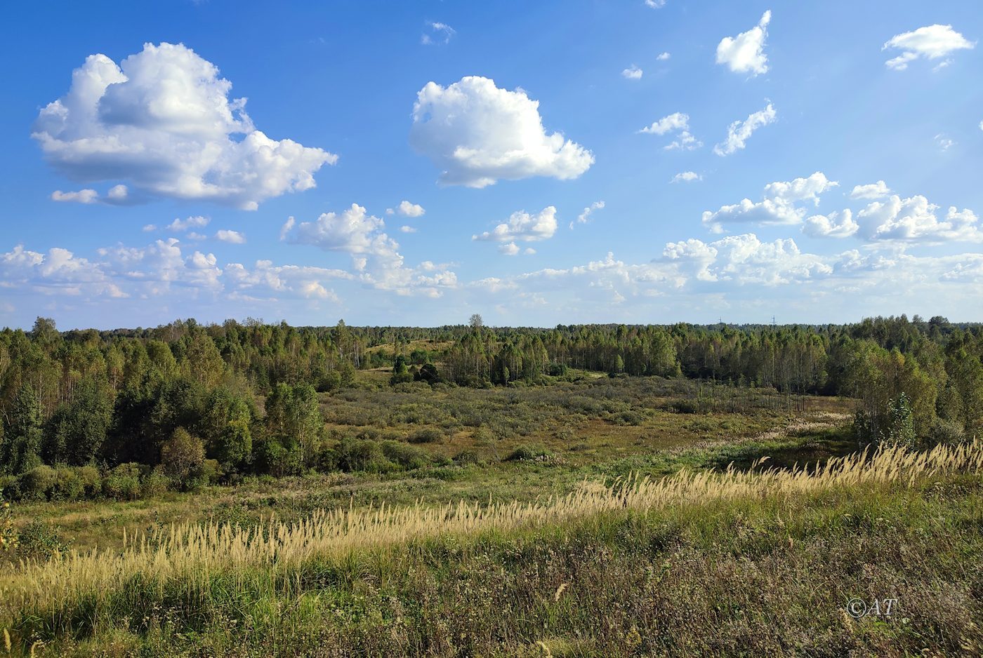 Верховья Каспли, изображение ландшафта.