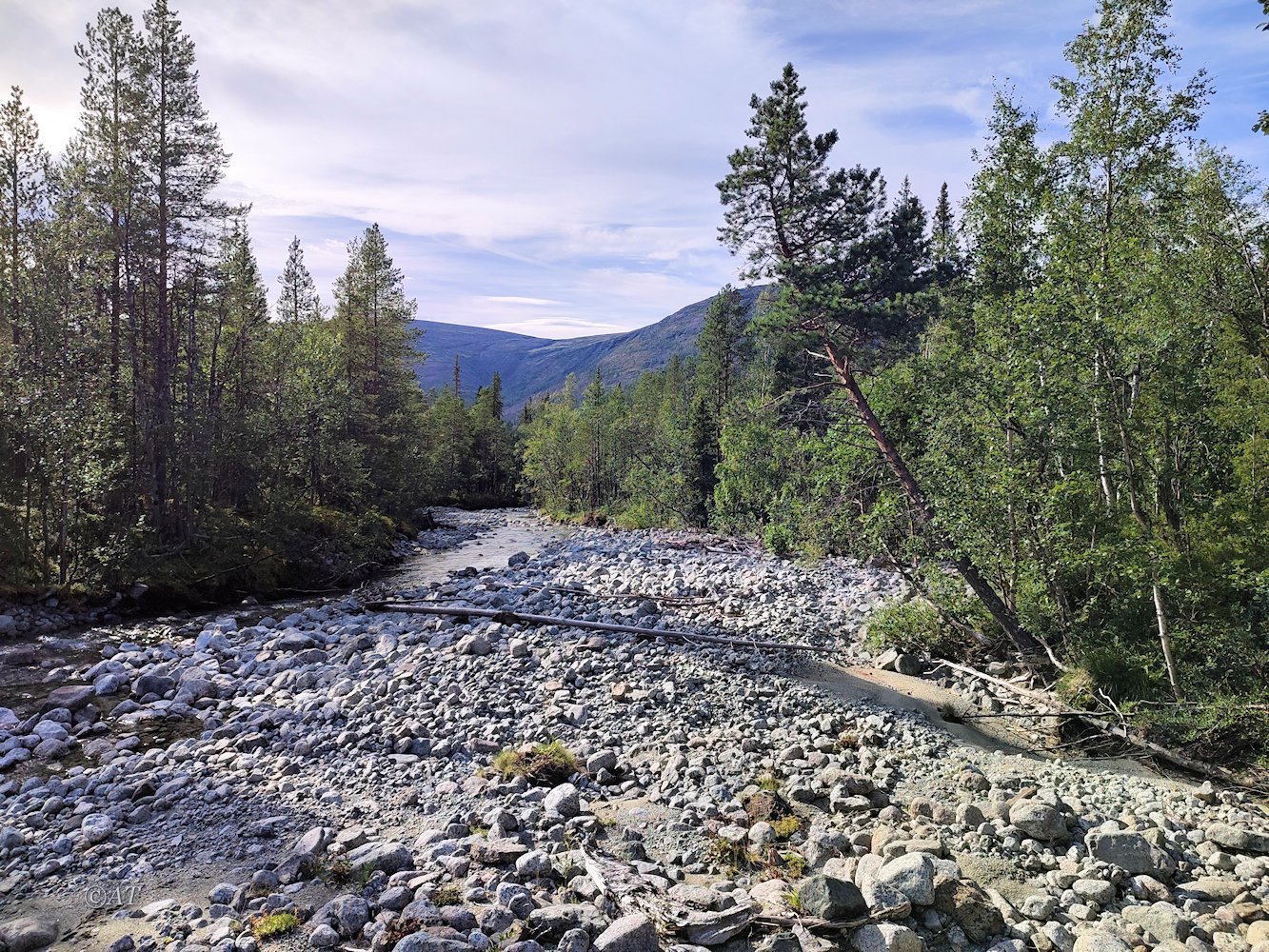 Ручей Лявойок, image of landscape/habitat.