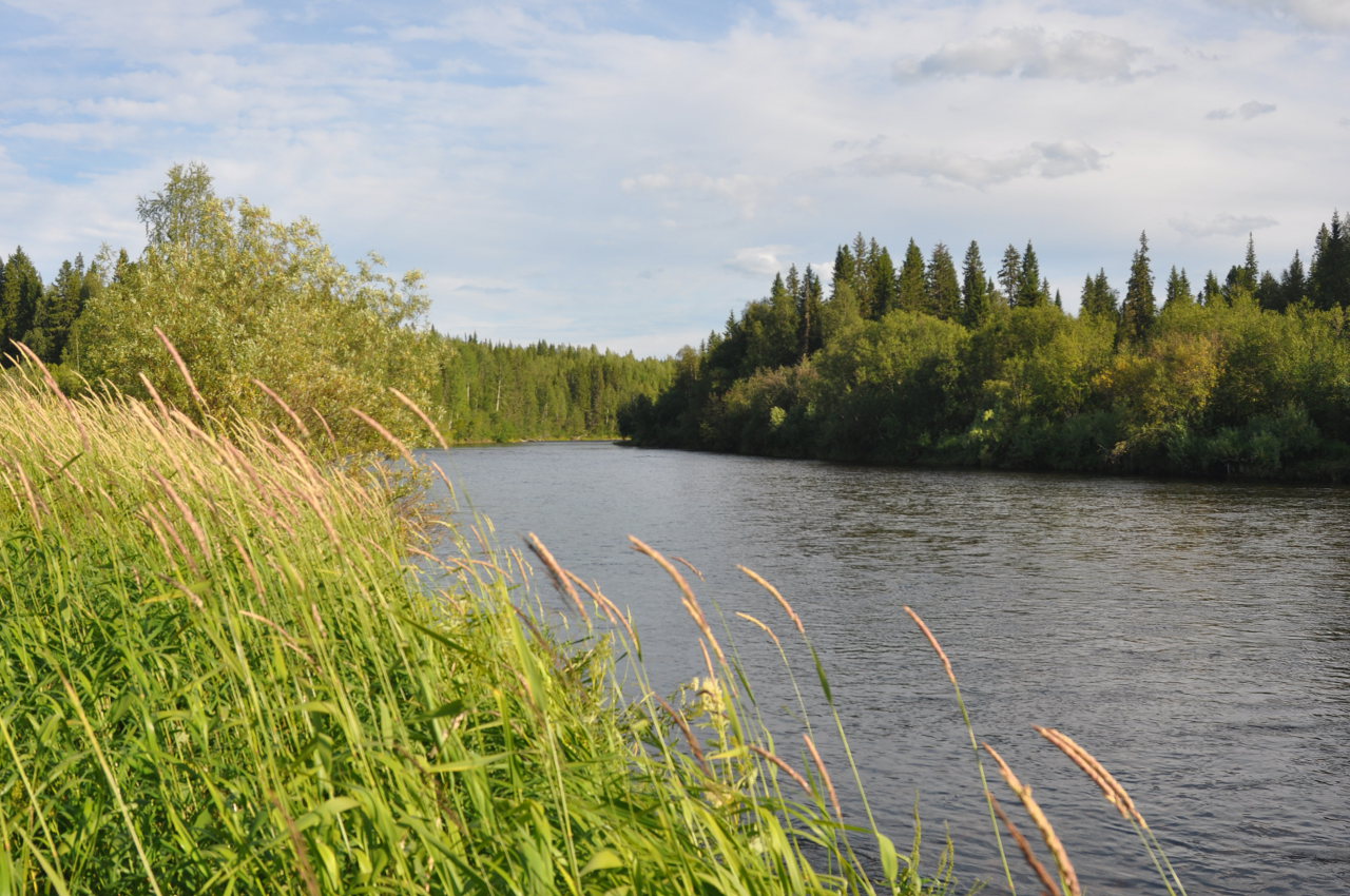 Река ляга Свердловская область