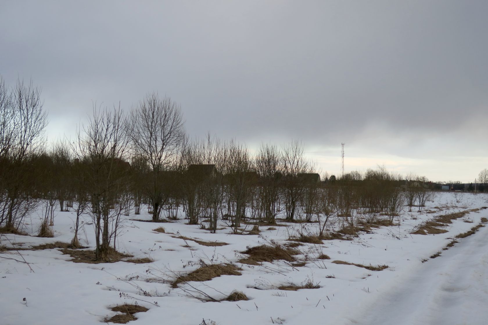 Ерденево, image of landscape/habitat.