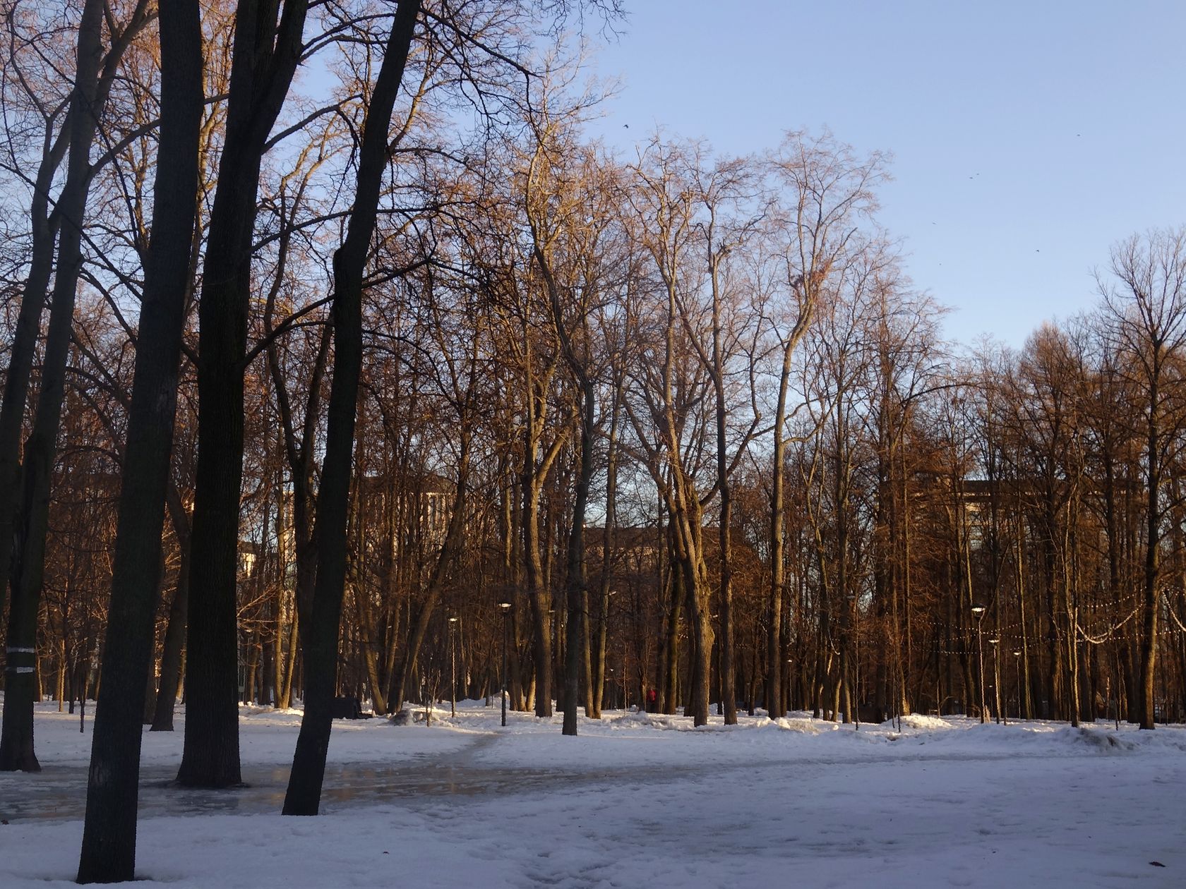 Парк "Динамо", изображение ландшафта.