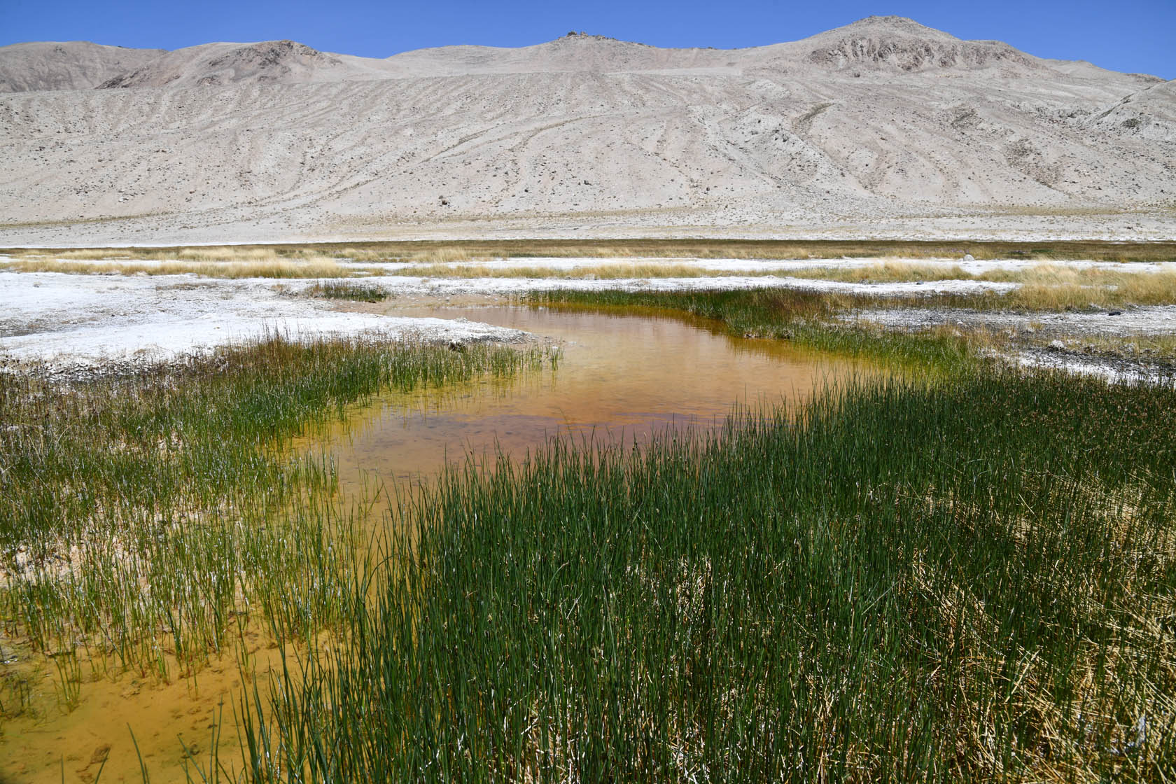 Чукуркуль, image of landscape/habitat.