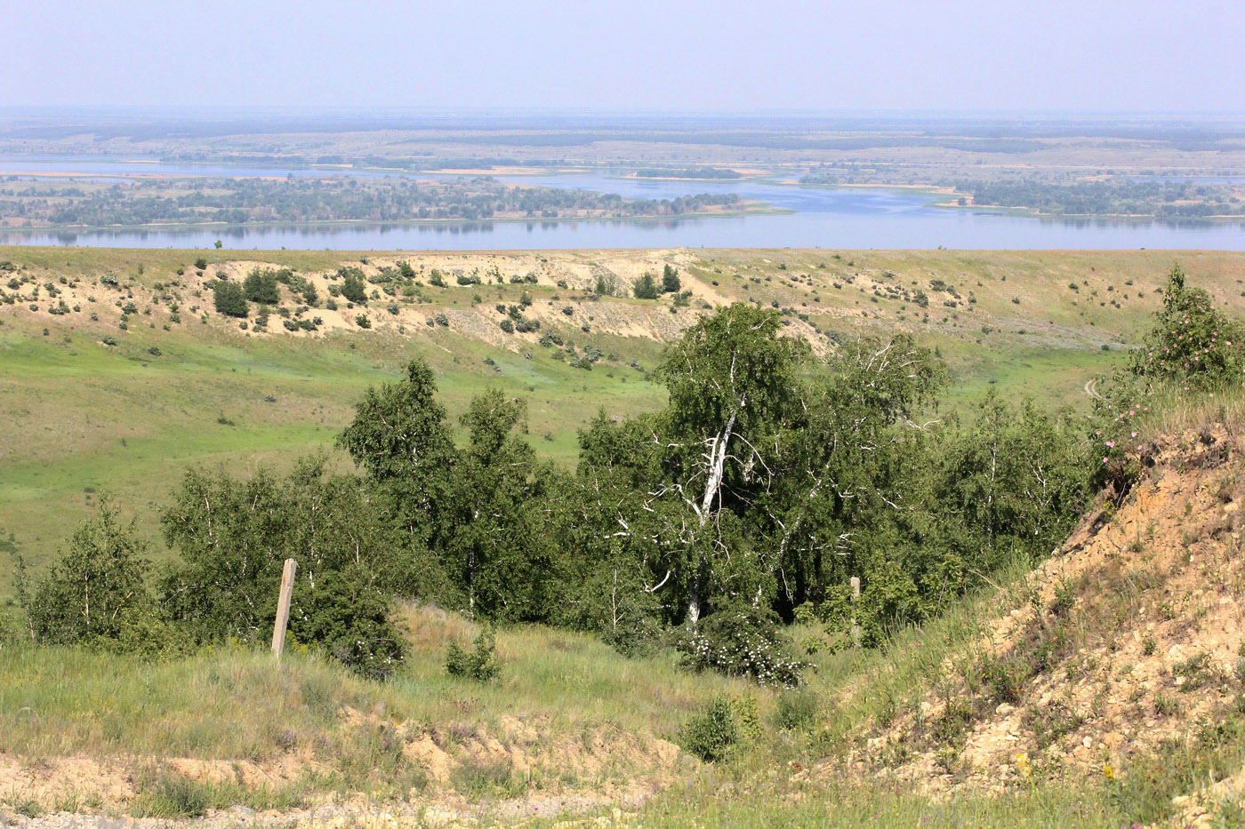 Белогорское, image of landscape/habitat.