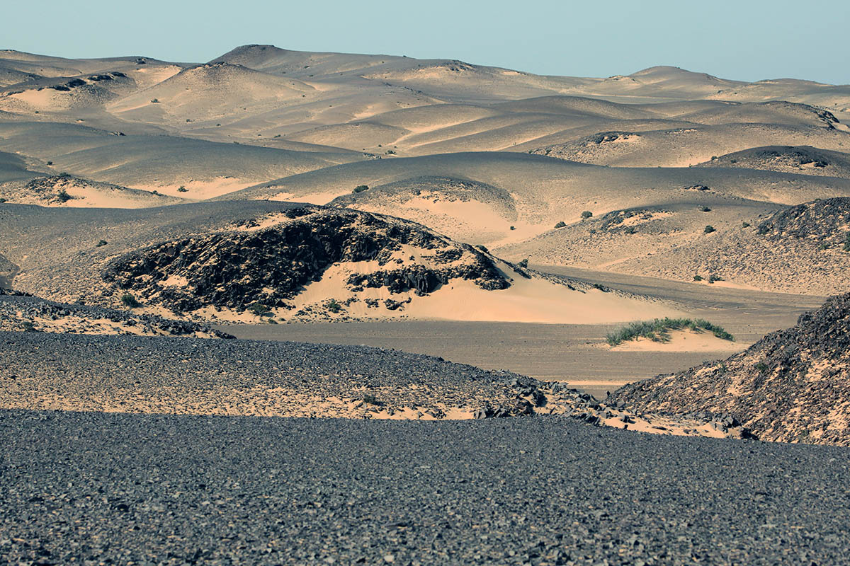 Торра, image of landscape/habitat.