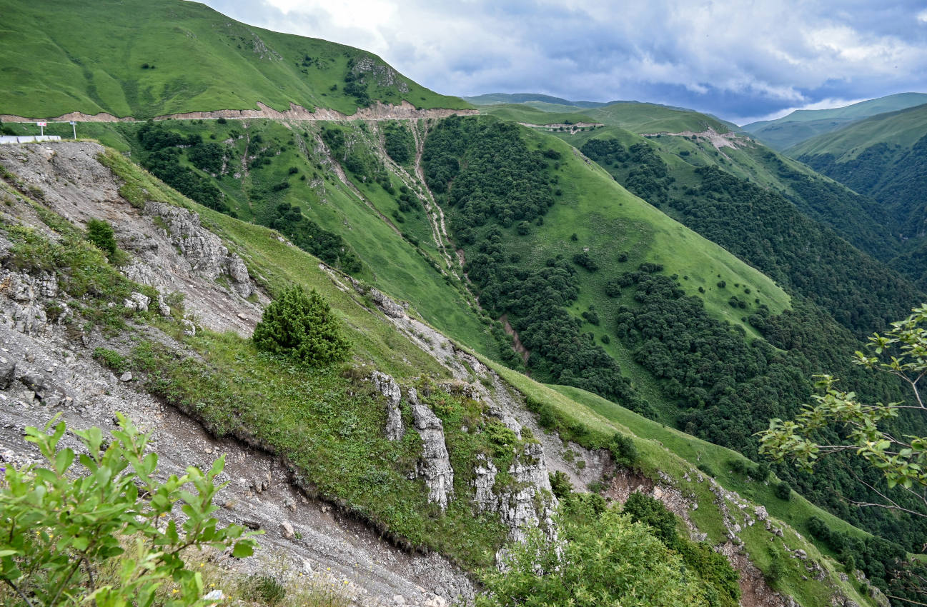 Ущелье реки Хулхулау, image of landscape/habitat.