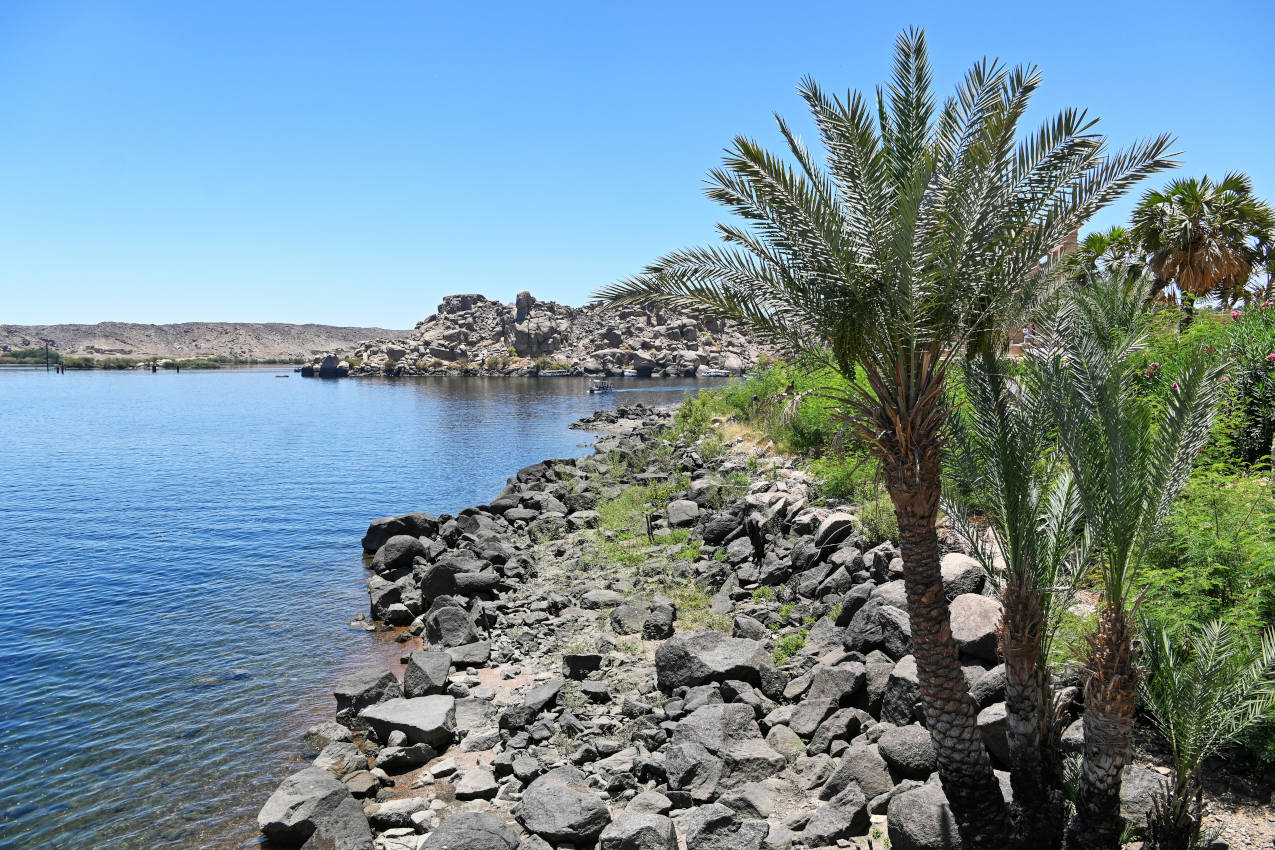 Остров Агилика, image of landscape/habitat.