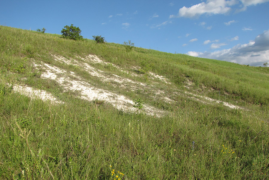 Ерёмкин лог, image of landscape/habitat.