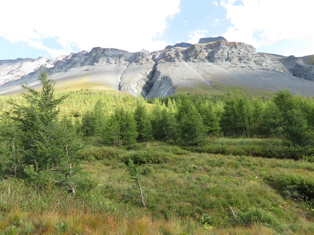 Долина реки Ярлу, image of landscape/habitat.