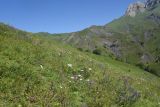 Старый дом Мухтара, image of landscape/habitat.