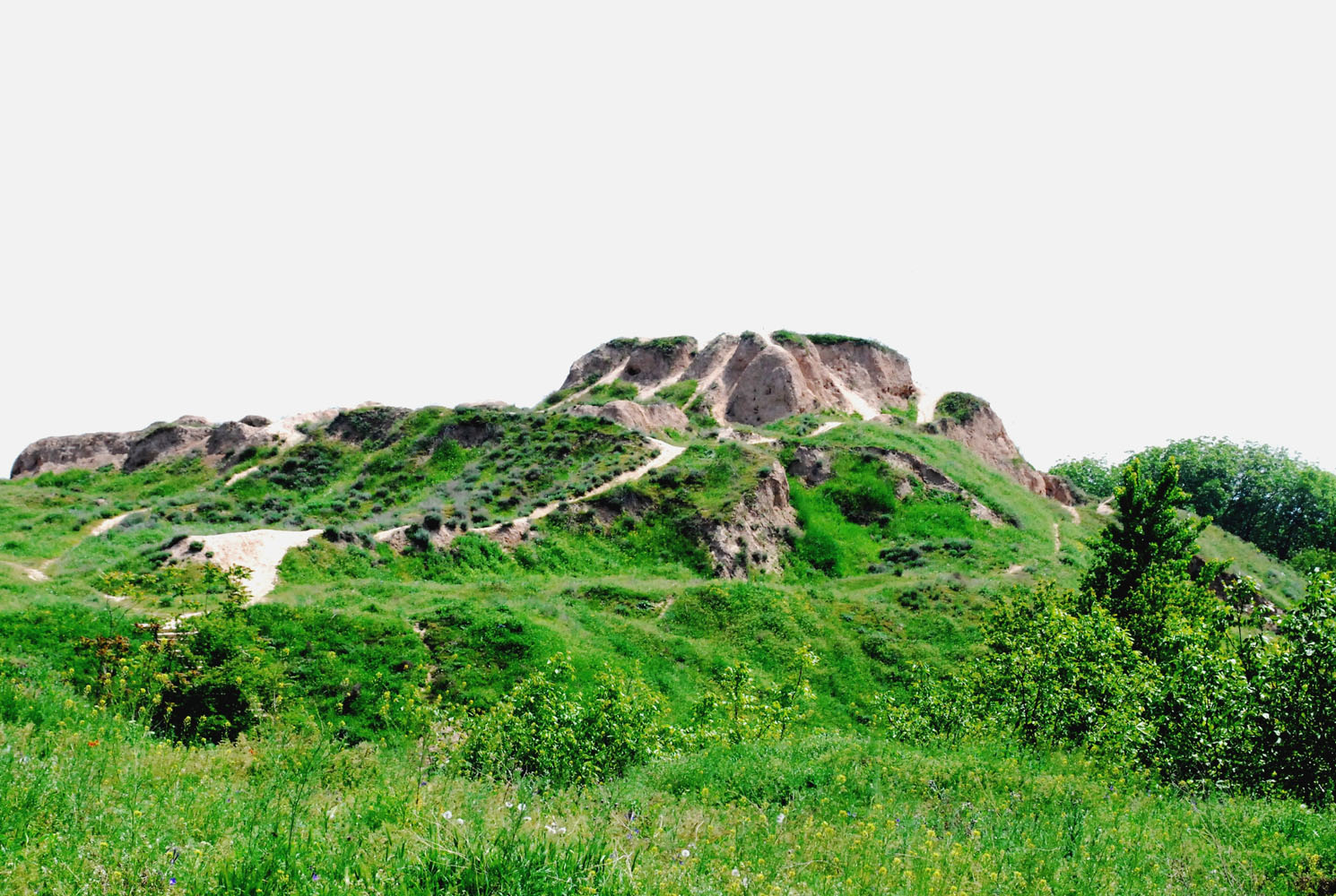 Актепа Юнусабадская, изображение ландшафта.