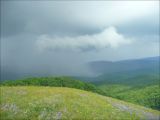 Гора Лысая-Новороссийская, image of landscape/habitat.