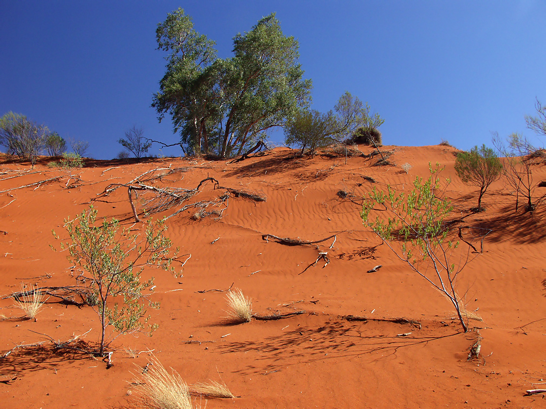 Uluru - Kata Tjuta, image of landscape/habitat.