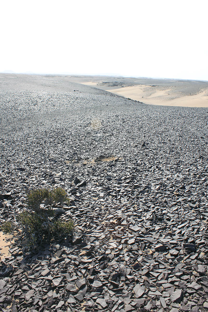 Торра, image of landscape/habitat.