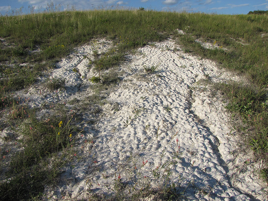 Ерёмкин лог, image of landscape/habitat.