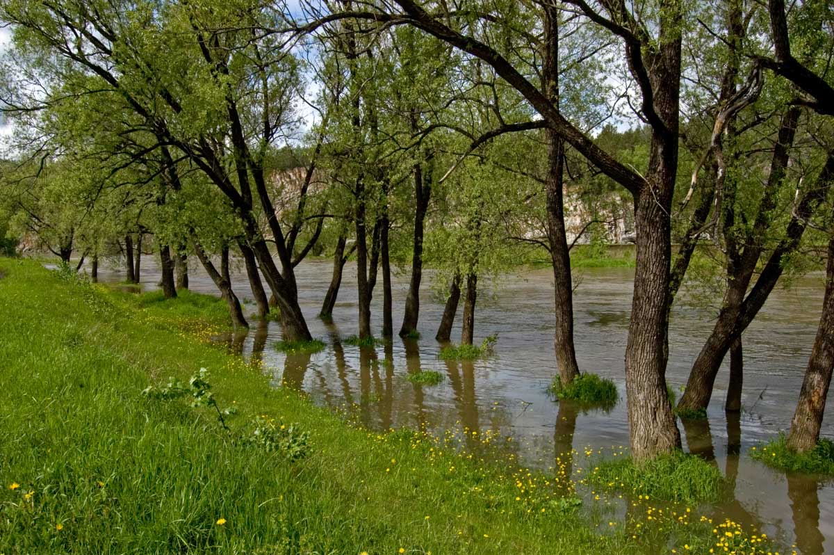 Окрестности Усть-Катава, image of landscape/habitat.