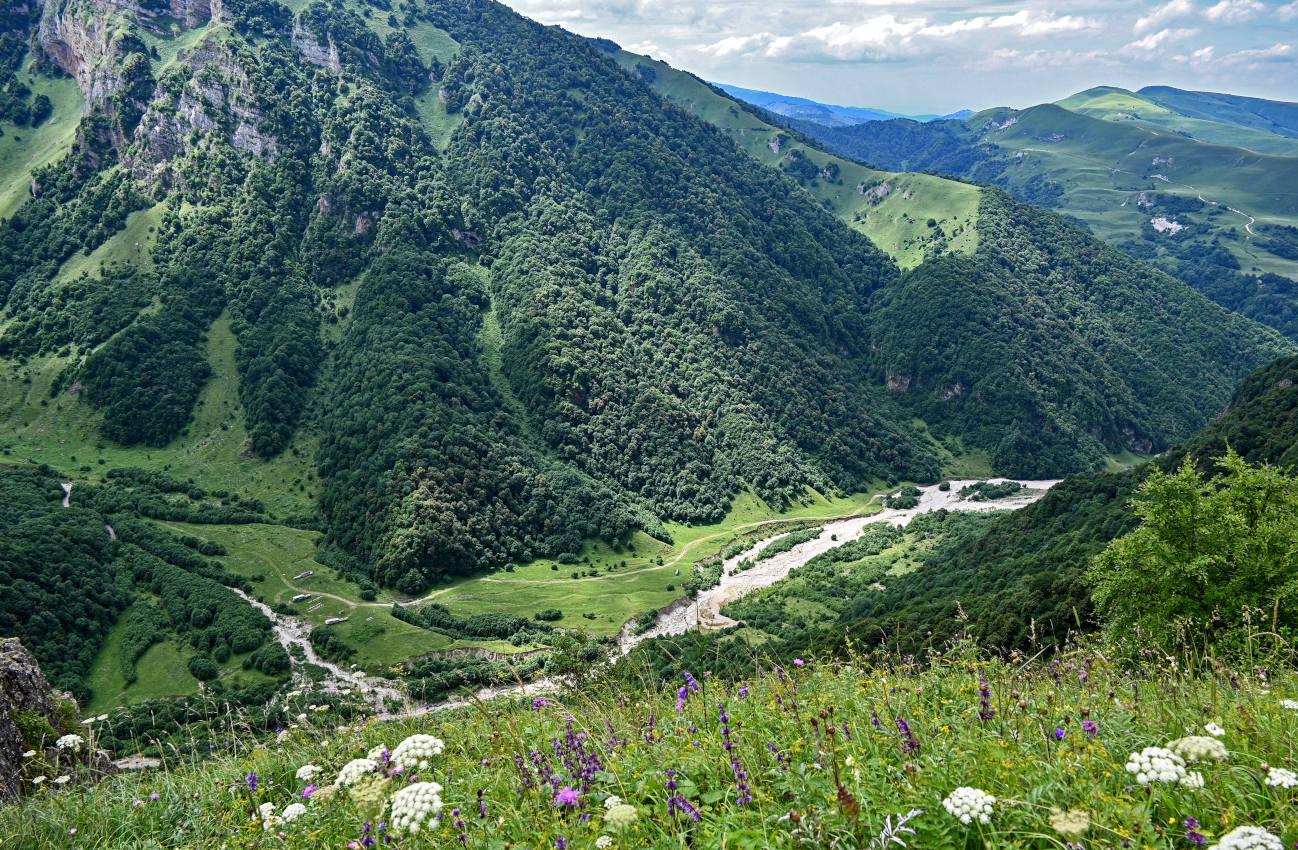 Ущелье реки Хулхулау, image of landscape/habitat.