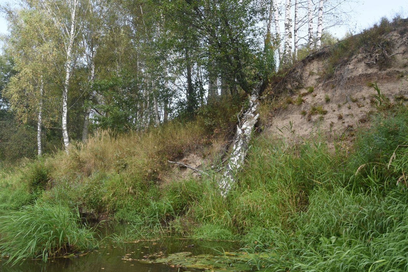 Мелихово, изображение ландшафта.