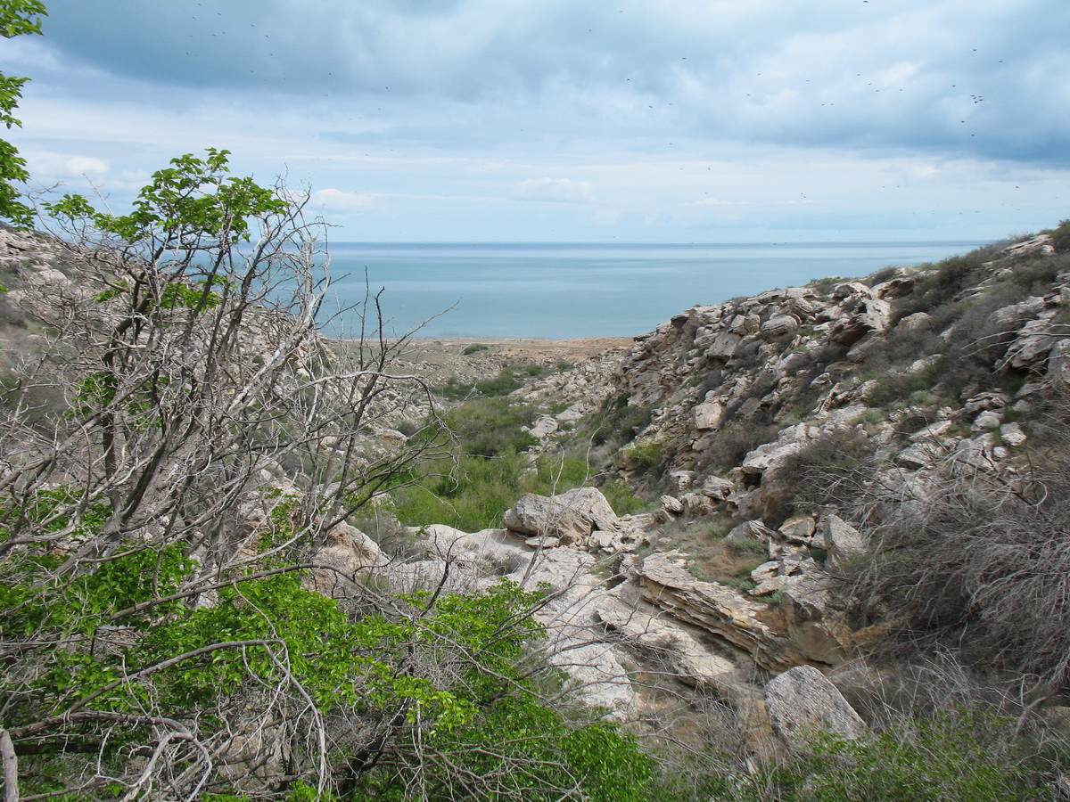 Атре, image of landscape/habitat.